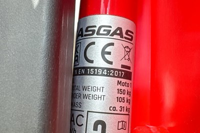 Los 98 - Elektro-Fahrrad / E-Urban Cruiser