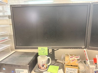 Los 313 - Monitore IIYAMA (2x)