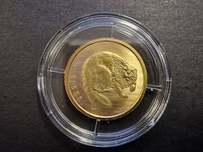 Los 536 - 20 Euro Goldmünze
