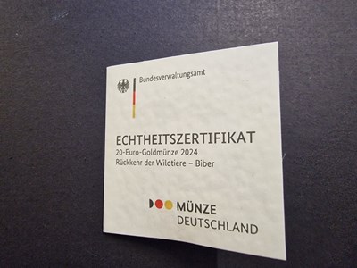Los 536 - 20 Euro Goldmünze